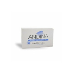Andina Crema Decolorante Grande 100 G